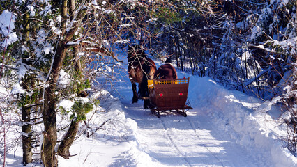 Zimowy mroźny pejzaż górski z oszronionymi drzewami
Woźnica, koń, sanie, w czasie zimowej...