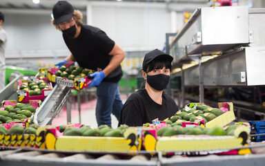 Female worker in uniform and protective mask taking avocado box in hands at warehouse
