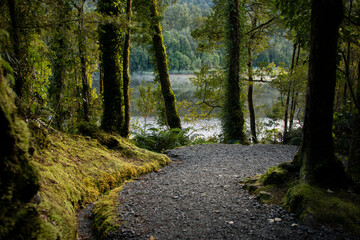Obraz premium Forests and walking tracks around Lake Matheson, South Island, New Zealand