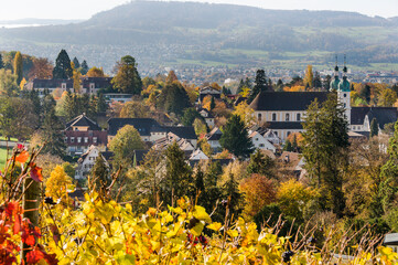 Arlesheim, Dom, Weinberg, Birstal, Birsebene, Dorf, Herbst, Herbstlaub, Baselland, Schweiz