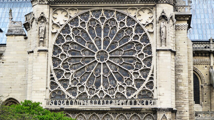 Rose at Notre Dame de Paris Cathedral
