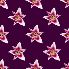 seamless pattern of Lily flower bloom. Lily flowers over pink background seamless texture. flat lay flower pattern