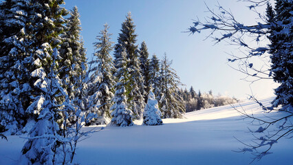 Zimowy mroźny pejzaż górski z oszronionymi drzewami