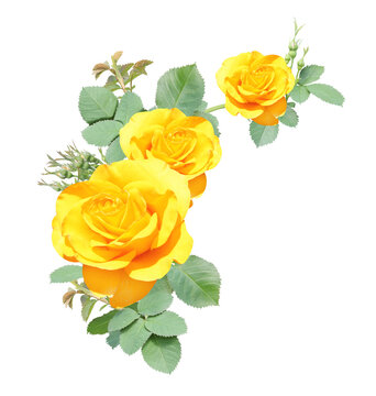 Angle border with branch of rose with yellow flowers