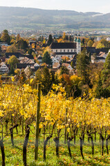 Arlesheim, Dom, Weinberg, Birstal, Birsebene, Dorf, Herbst, Herbstlaub, Aesch, Dornach, Baselland,...