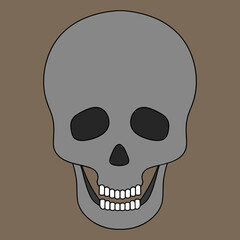 Human skull. Jaw with straight teeth. Vector illustration. Halloween symbol. Isolated brown background. Bone frame of the head. An integral part of the skeleton. Cartoon style. Hollows instead of eyes