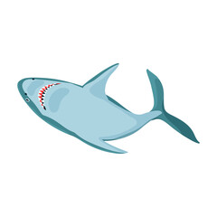 Obraz premium Shark cartoon vector icon.Cartoon vector illustration fish of sea. Isolated illustration of shark icon on white background.