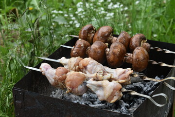 Barbecue on the grill