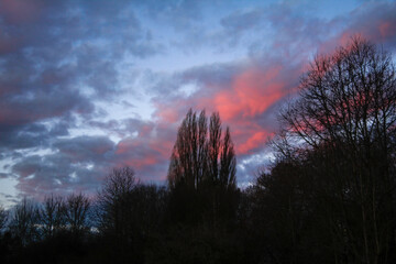 Obraz premium colorful sunrise over the edge of the forest