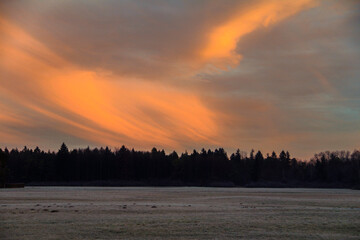 colorful sunrise over the edge of the forest