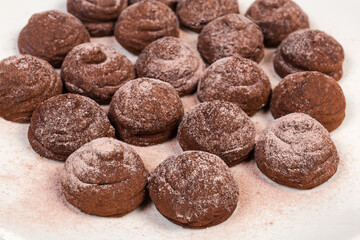 Fototapeta na wymiar Chocolate truffles sprinkled with cocoa and milk powder close-up