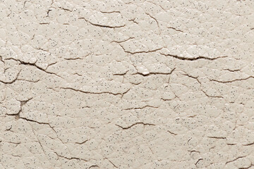 white genuine leather. seamless texture. background for design