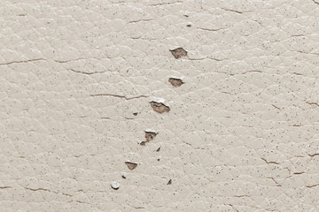 white genuine leather. seamless texture. background for design