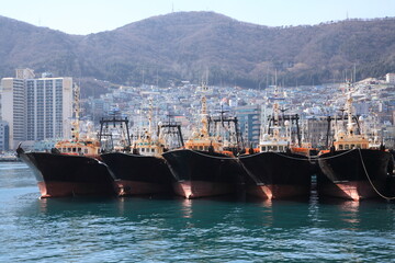 韓国の港町、釜山の風景