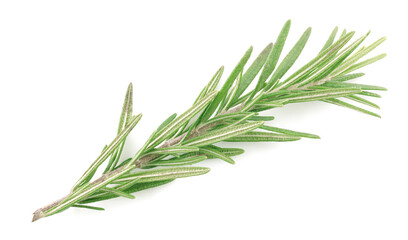 Fototapeta premium Rosemary isolated on white background