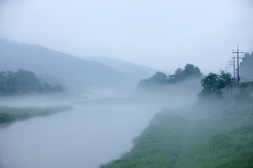 Fototapeta na wymiar misty morning on the lake