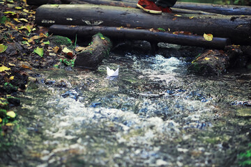 Bright spring greens at dawn in the forest. Nature comes to life in early spring.