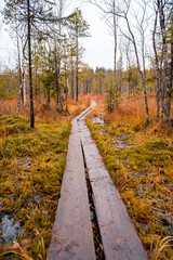 Fototapeta premium Lapland Finland, lake and forest, nature photography. Travel