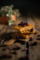 Freshly made waffle cake with dried cranberries on top of the cake served on a wooden board on a wooden table. In the background is a flower pot. 