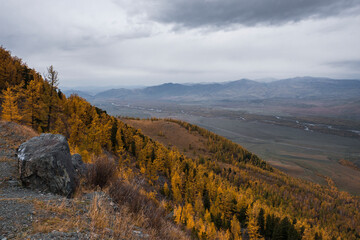 Beautiful autumn in East Kazakhstan mountains with yellow golden trees. Amazing beautiful colorful natural scenery. Travel in Kazakhstan in autumn season. Old Ausrian road in East Kazakhstan.