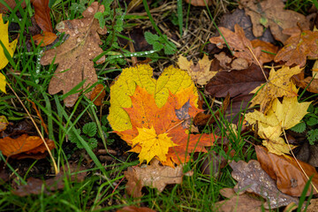 Herbst