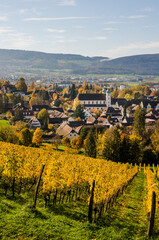 Arlesheim, Dom, Weinberg, Birstal, Birsebene, Dorf, Herbst, Herbstlaub, Baselland, Schweiz