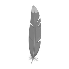 Feather of bird cartoon vector icon.Cartoon vector illustration watercolor of pen. Isolated illustration of feather of bird icon on white background.