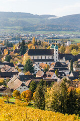 Fototapeta na wymiar Arlesheim, Dom, Weinberg, Birstal, Birsebene, Dorf, Herbst, Herbstlaub, Baselland, Schweiz