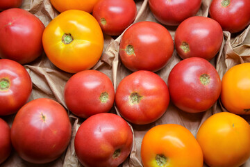 Tomatoes summer harvest. Village garden harvest. Tomato from farmers market. Fresh red and yellow...