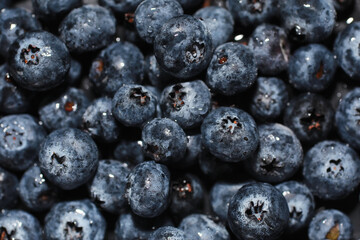 Water drops on ripe sweet blueberry. Fresh blueberries background with copy space for your text. Vegan and vegetarian concept. Macro texture of blueberry berries.