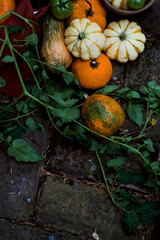 Pumpkins from Garden 2