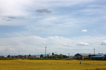 Blue Sky Day