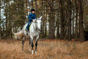 Little boy in a jockey cap on a white adult horse on a background of nature. Jockey, hippodrome,...