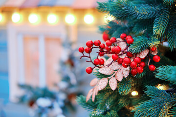 Yard home is decorated with a Christmas tree with a branch of mistletoe. Ornament for the celebration of new year and Christmas