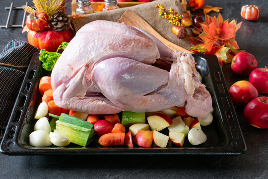 Preparation roast turkey - Raw whole turkey with root vegetable on a baking sheet