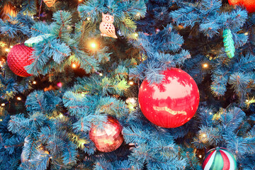 Branches of blue fir decorated with toys and balls before the new year