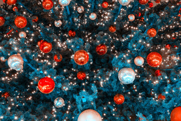 Branches of blue spruce decorated with toys and balls before the new year