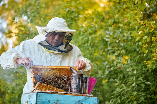 caucasian bee master on apiary wearing protective suit and mask, caucasian beekeeper examining bees on a bee farm