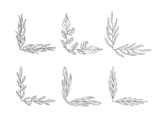 Rustic set of borders for wedding invitations. Floral branch corners.  Vector isolated spring flourish card page breaks.	