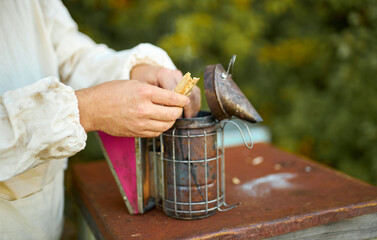 young diligent caucasian adult man beekeeper work with bee smoker in his apiary on bee farm,...