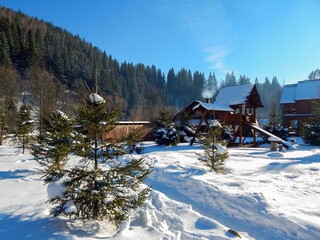 mountain village in winter, snow and pine forest