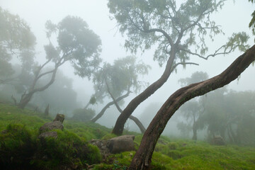 Parque Nacional Montañas Simien, Etiopia, Africa