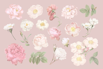 Blooming elegant floral design collection