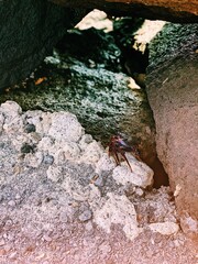 Processed with VSCO with c1 preset