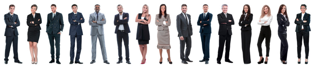 Young attractive business people - the elite business team