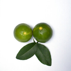 green lime on white background