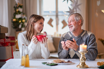 Young woman with grandfather indoors at home at Christmas, drinking tea.