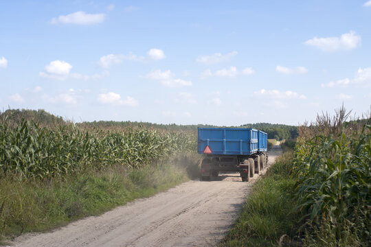 jadący z przyczepą traktor między polami kukurydzy