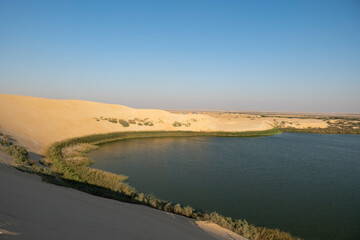 Alasfar Lake (Yellow Lake) near Al Hasa in Eastern Saudi Arabia