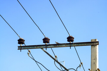 A bird perched on a power pole